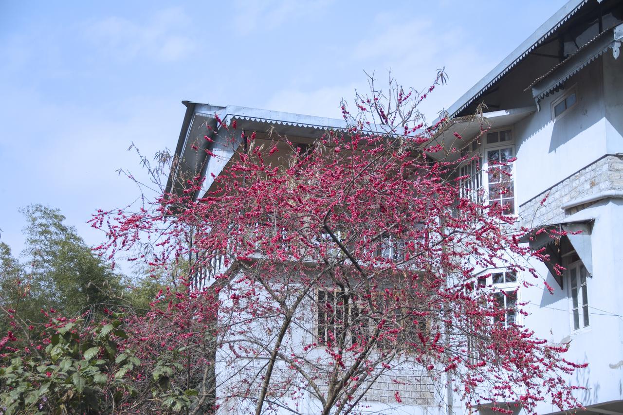 The Mazong Hotel Gangtok Εξωτερικό φωτογραφία